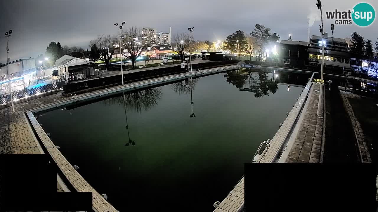 Webcam Celje – Main swimming pool
