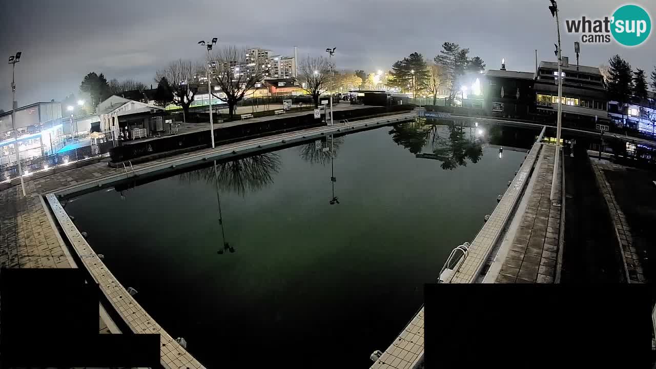 Webcam Celje – Main swimming pool