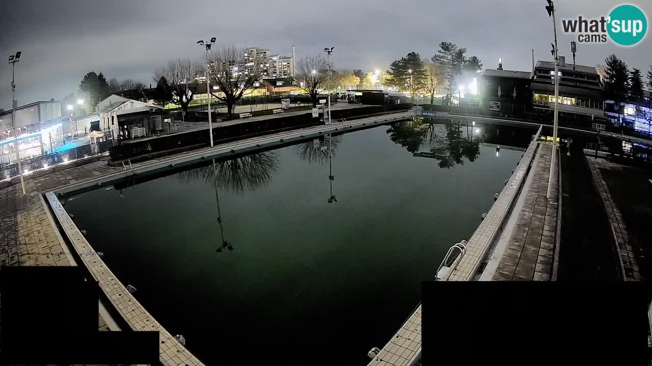 Webcam Celje – Main swimming pool