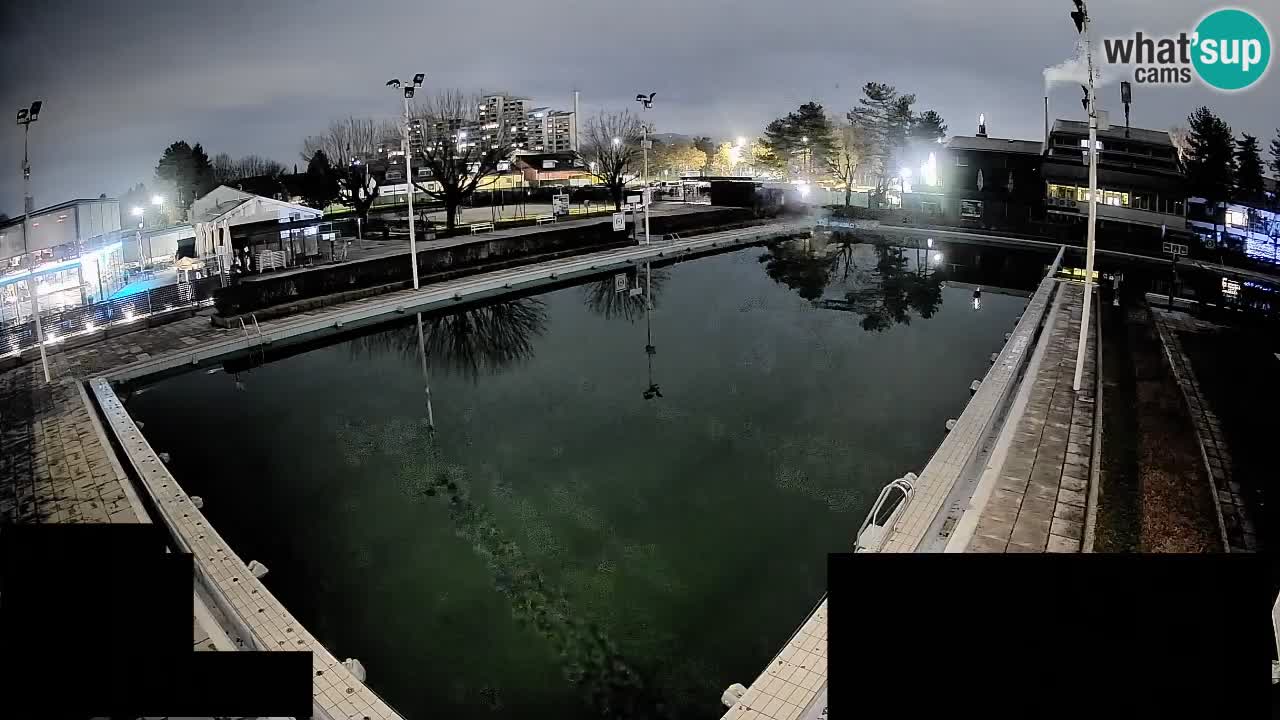 Webcam Celje – Hauptschwimmbad