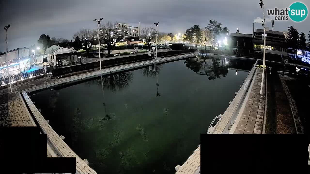 Cámara web Celje – Piscina principal