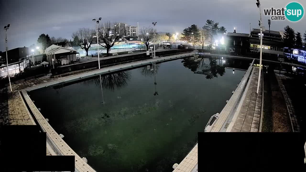 Webcam Celje – Main swimming pool