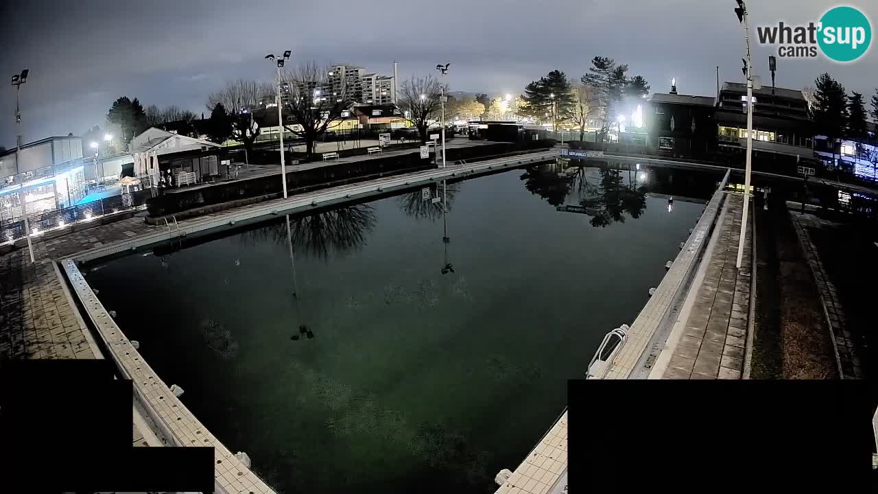 Webcam Celje – Main swimming pool