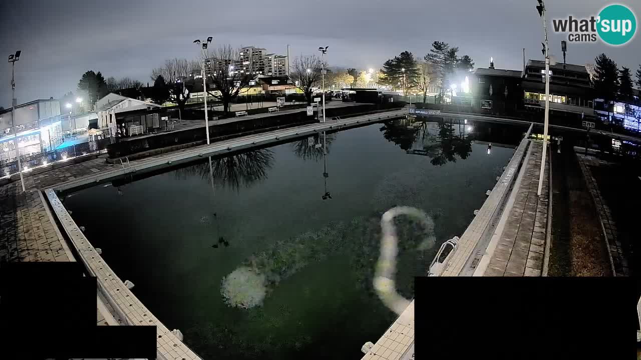 Webcam Celje – Main swimming pool