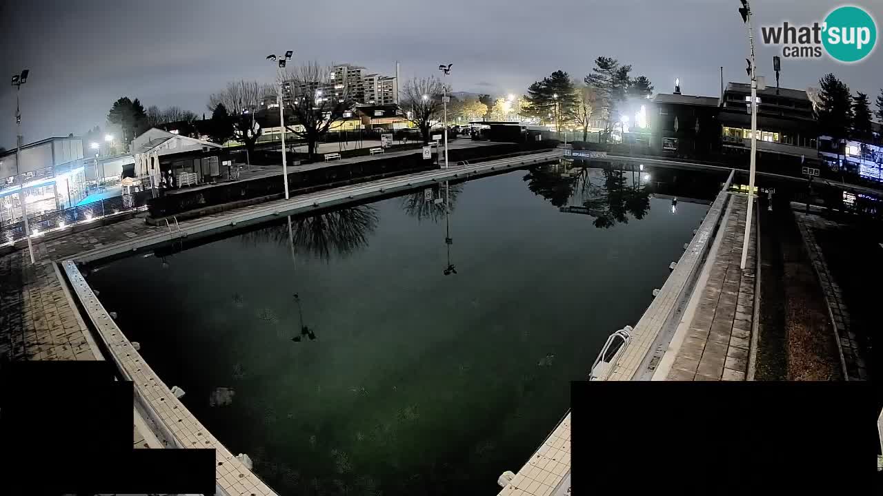 Cámara web Celje – Piscina principal