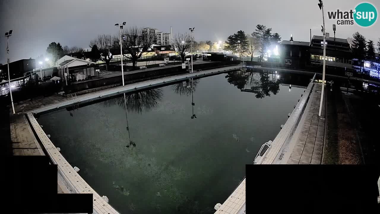 Cámara web Celje – Piscina principal