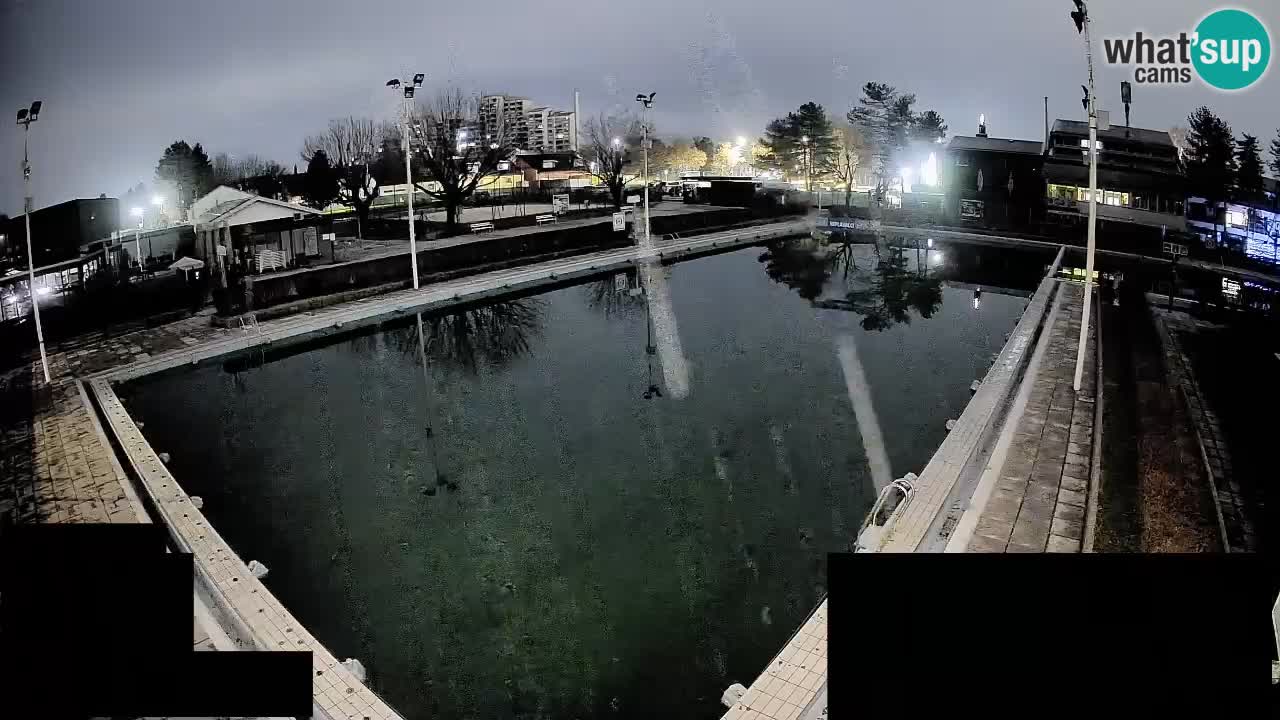 Kamera v živo Celje Letno kopališče  – glavni bazen