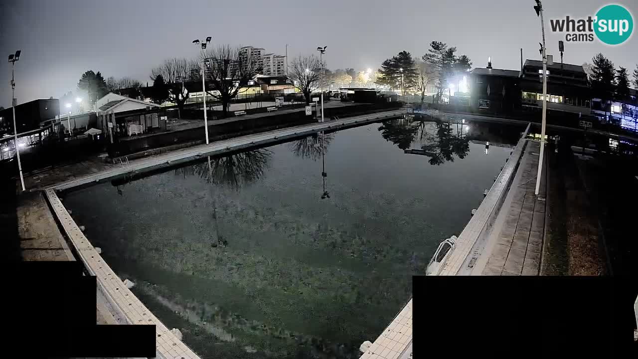 Webcam Celje – Main swimming pool
