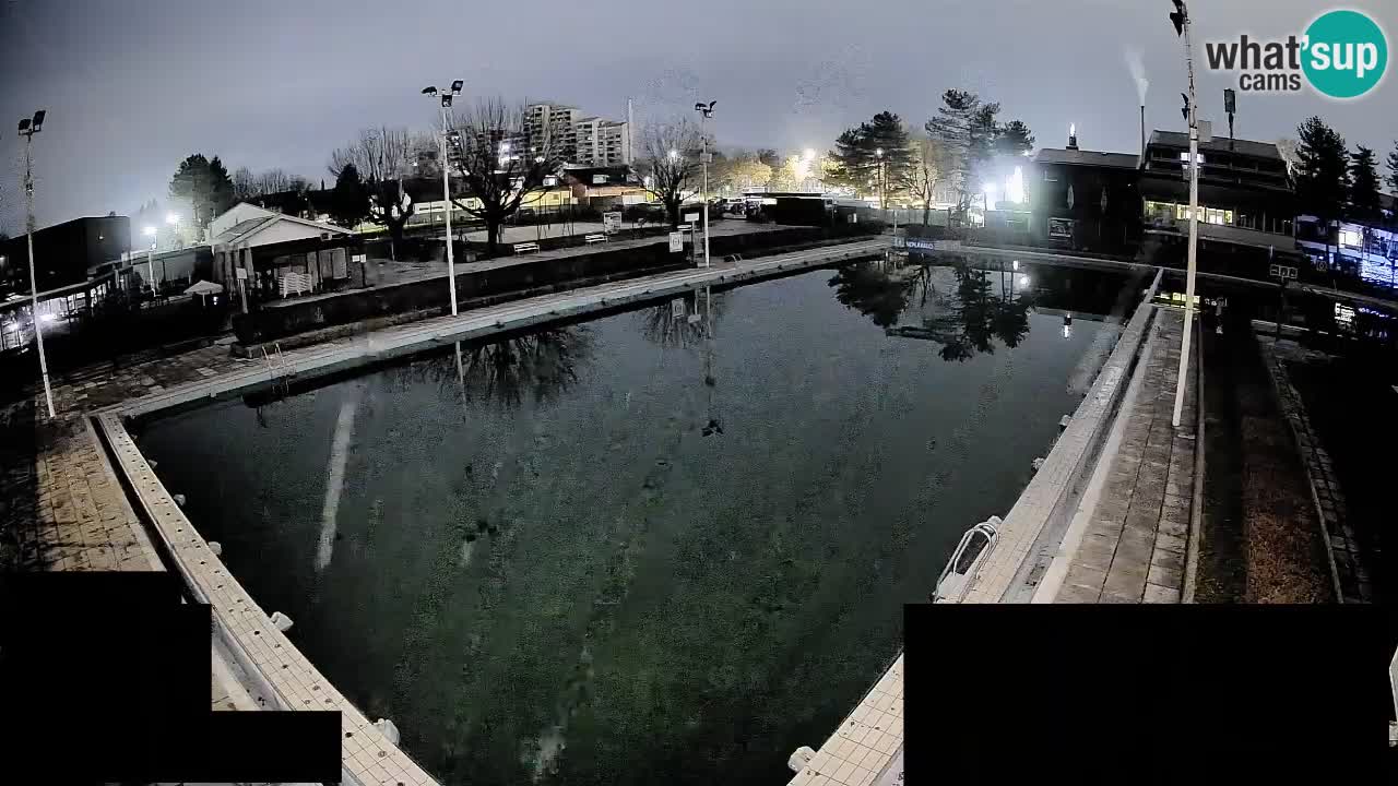 Webcam Celje – Main swimming pool