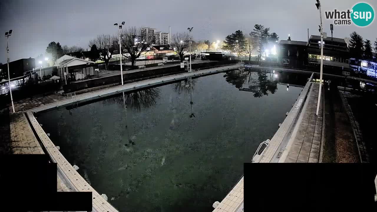 Webcam Celje – Piscine principale