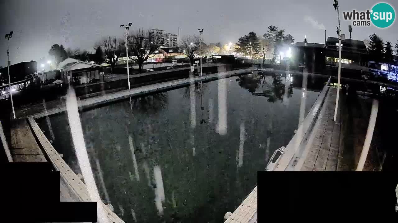 Webcam Celje – Main swimming pool