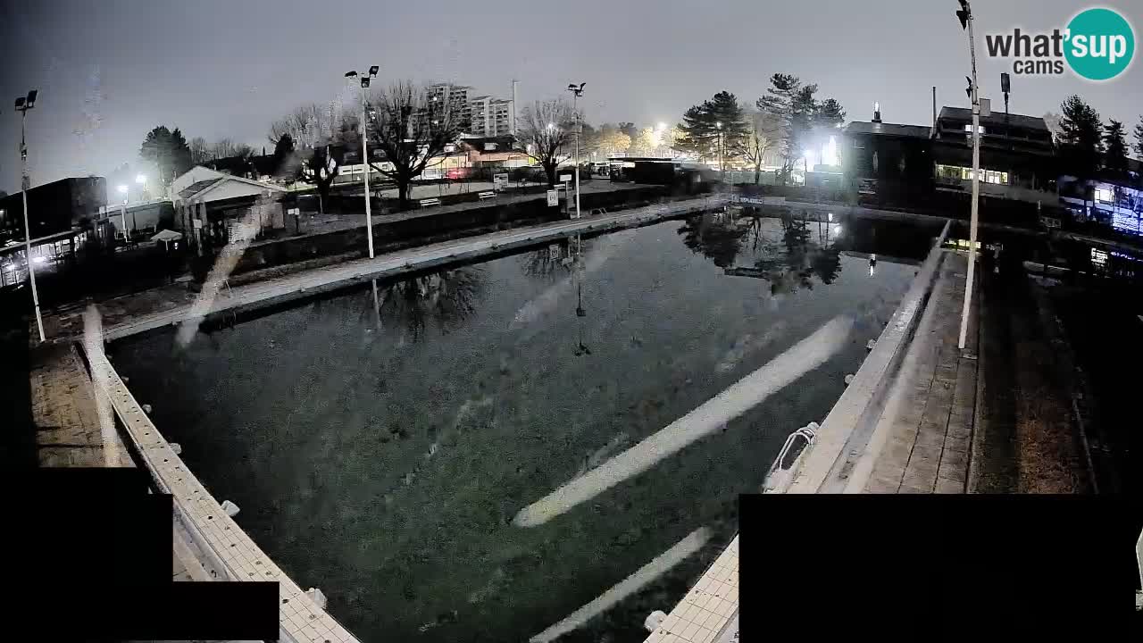 Webcam Celje – Main swimming pool