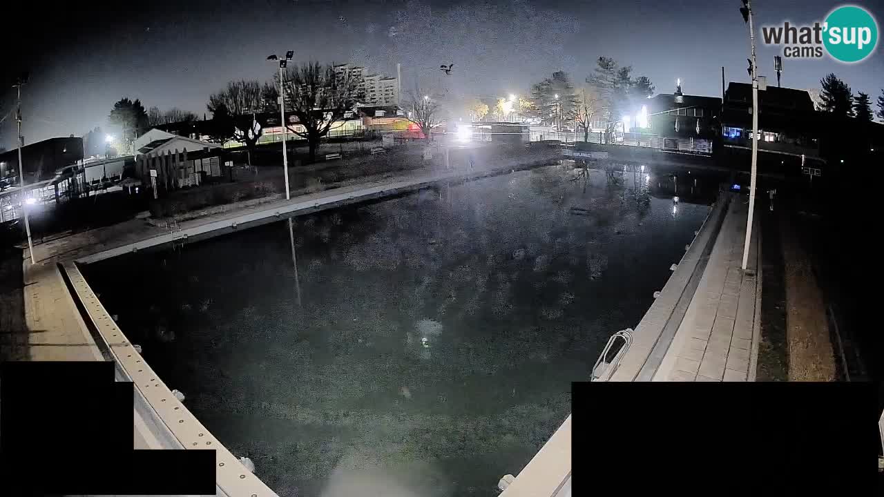 Webcam Celje – Hauptschwimmbad