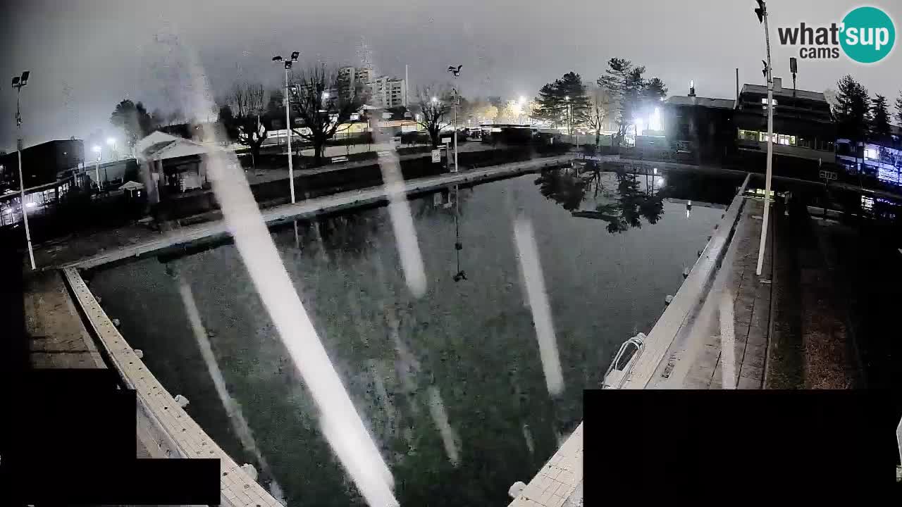 Webcam Celje – Main swimming pool