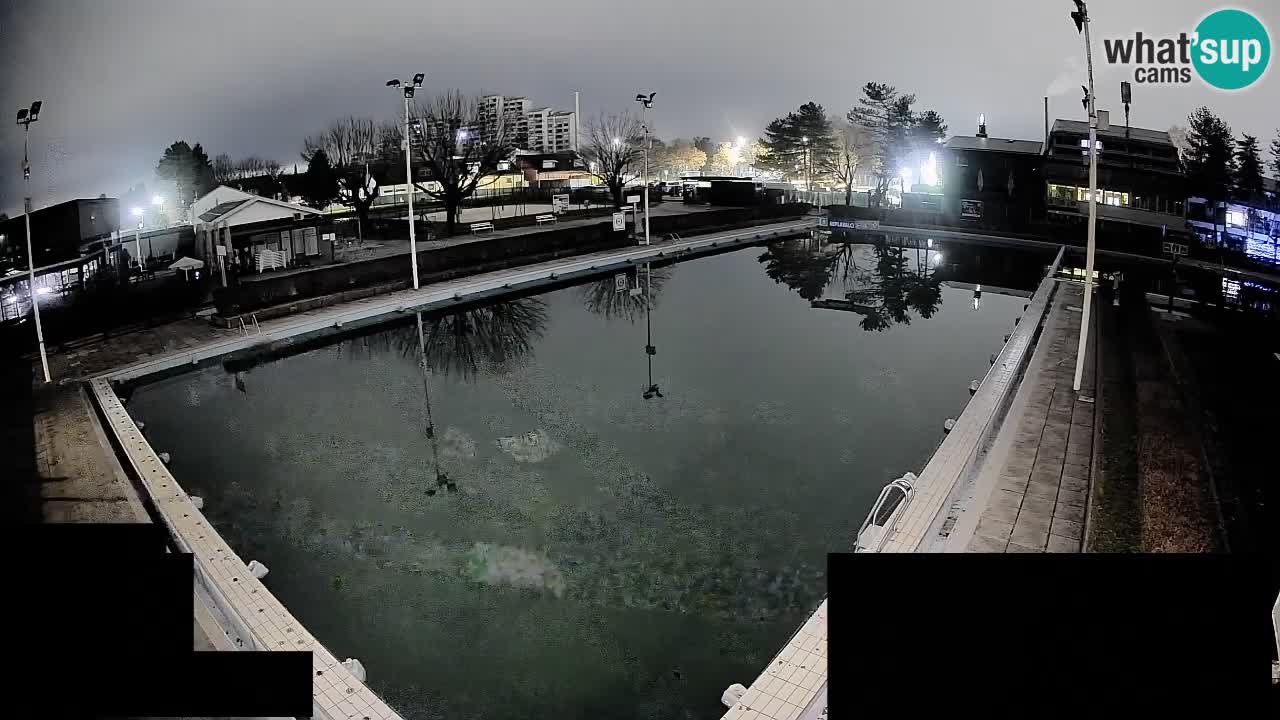 Webcam Celje – Main swimming pool