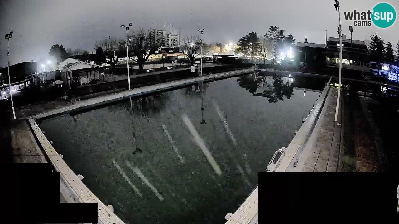 Webcam Celje – Main swimming pool