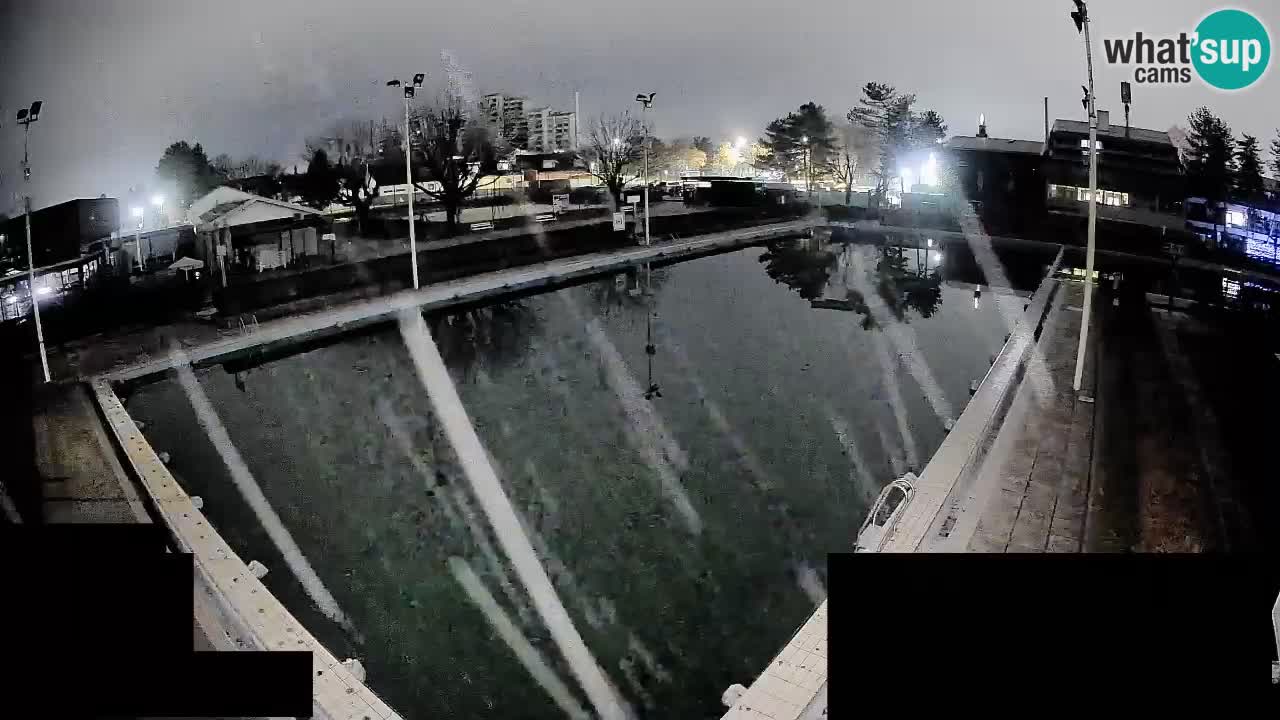 Cámara web Celje – Piscina principal