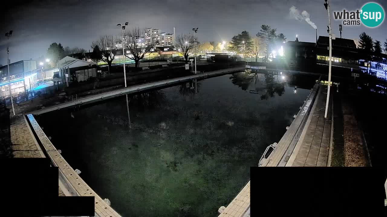 LiveCam Celje – Piscina principale
