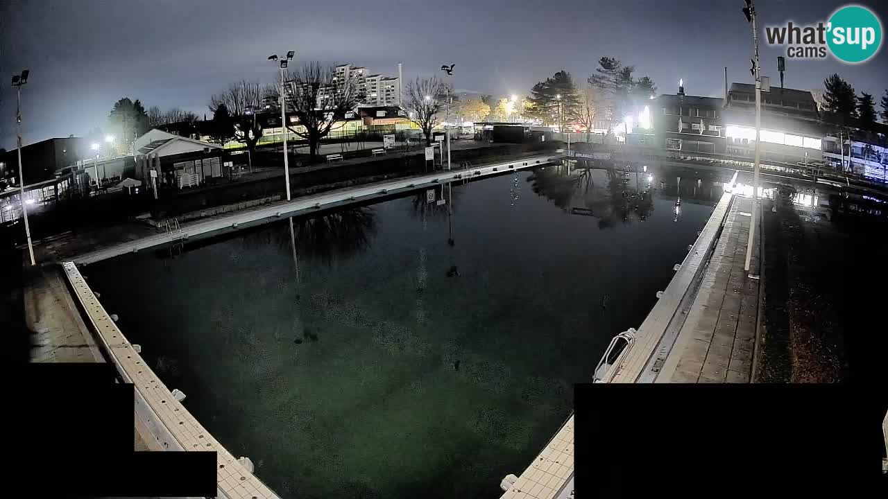 Cámara web Celje – Piscina principal