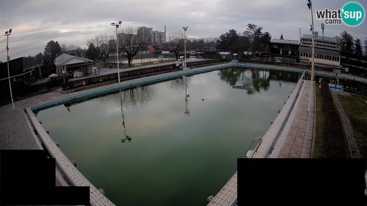 Webcam Celje – Main swimming pool