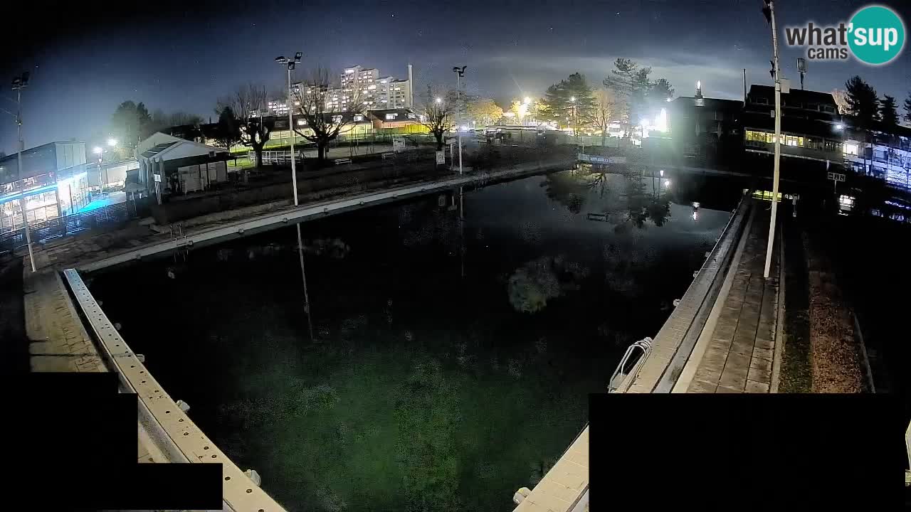 Webcam Celje – Hauptschwimmbad