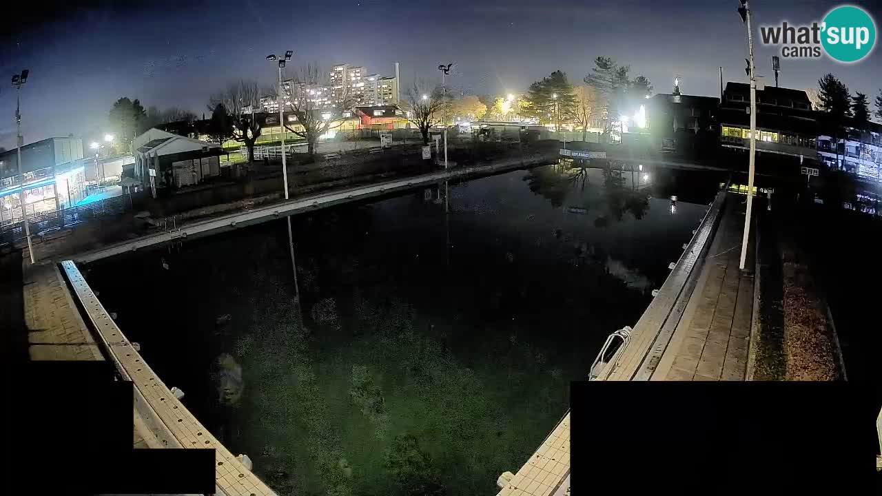 Webcam Celje – Main swimming pool