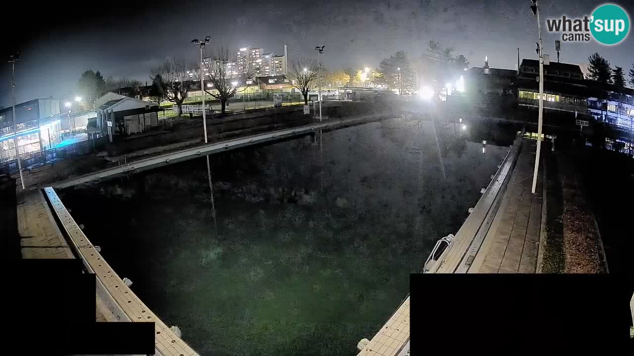 Webcam Celje – Hauptschwimmbad