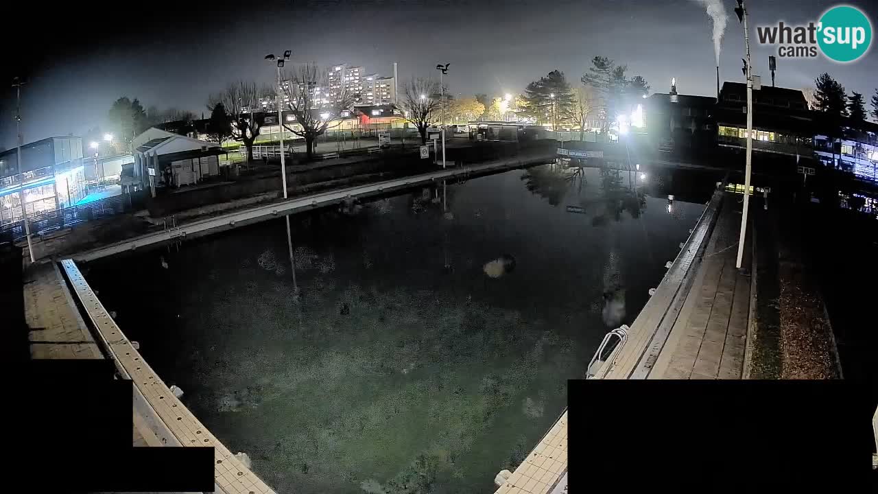 Webcam Celje – Hauptschwimmbad