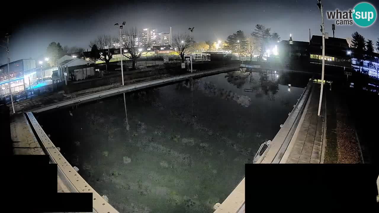 Webcam Celje – Main swimming pool