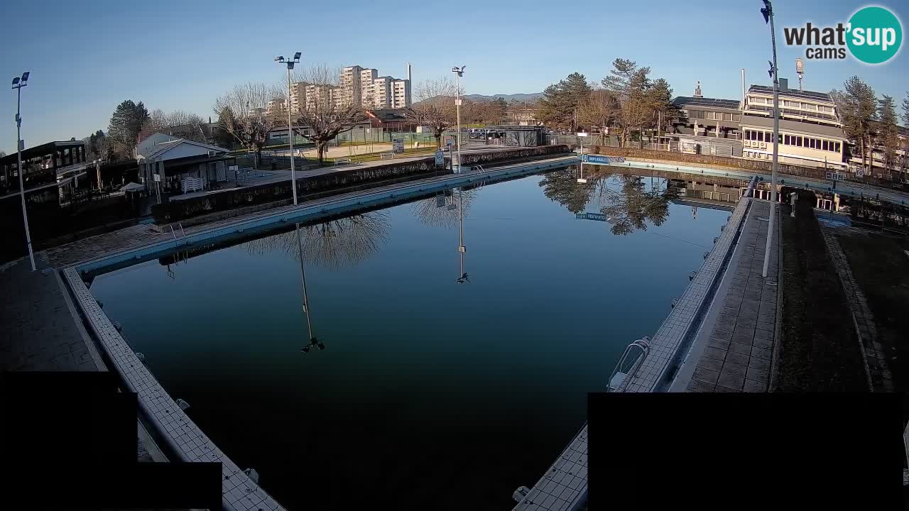 Webcam Celje – Main swimming pool