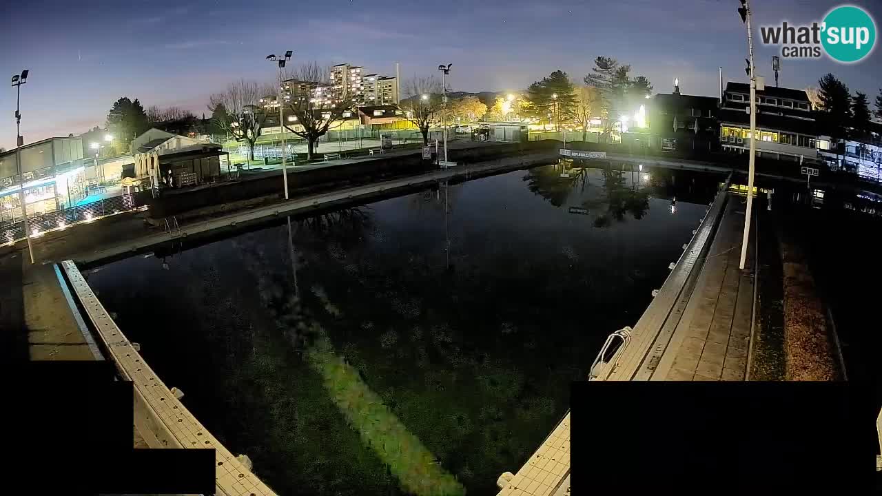Cámara web Celje – Piscina principal