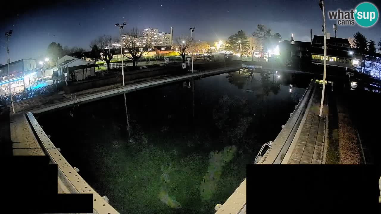 Webcam Celje – Hauptschwimmbad