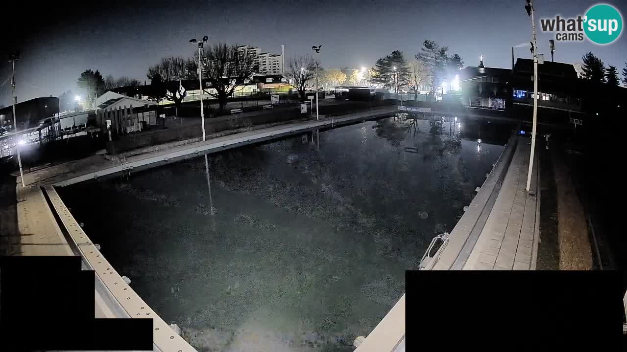 Webcam Celje – Hauptschwimmbad