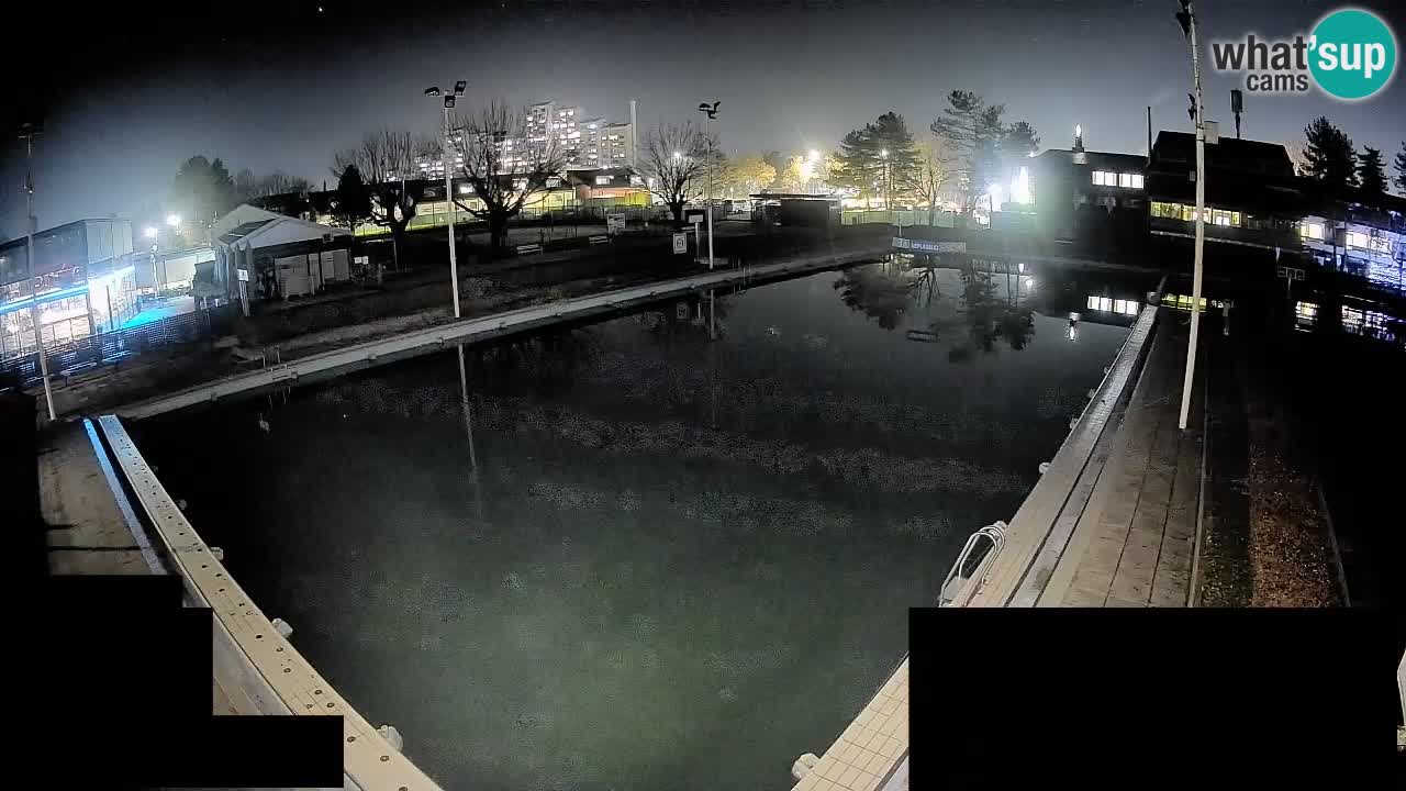 Cámara web Celje – Piscina principal