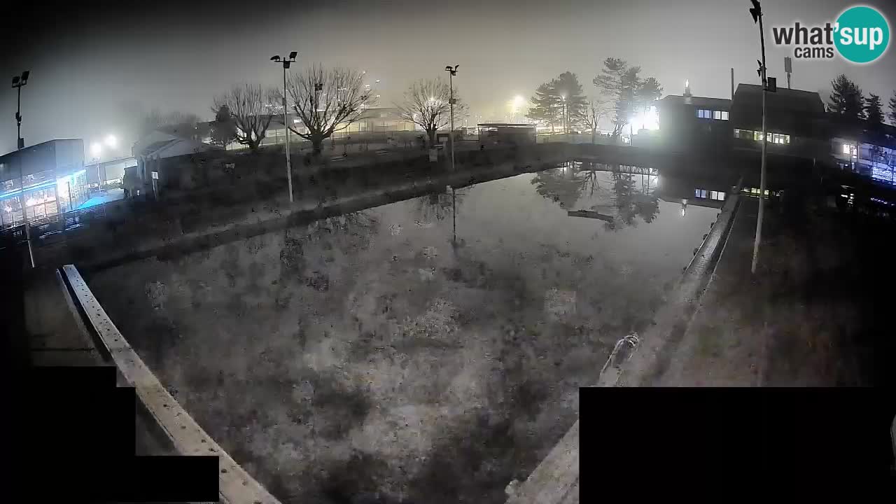 Webcam Celje – Piscine principale