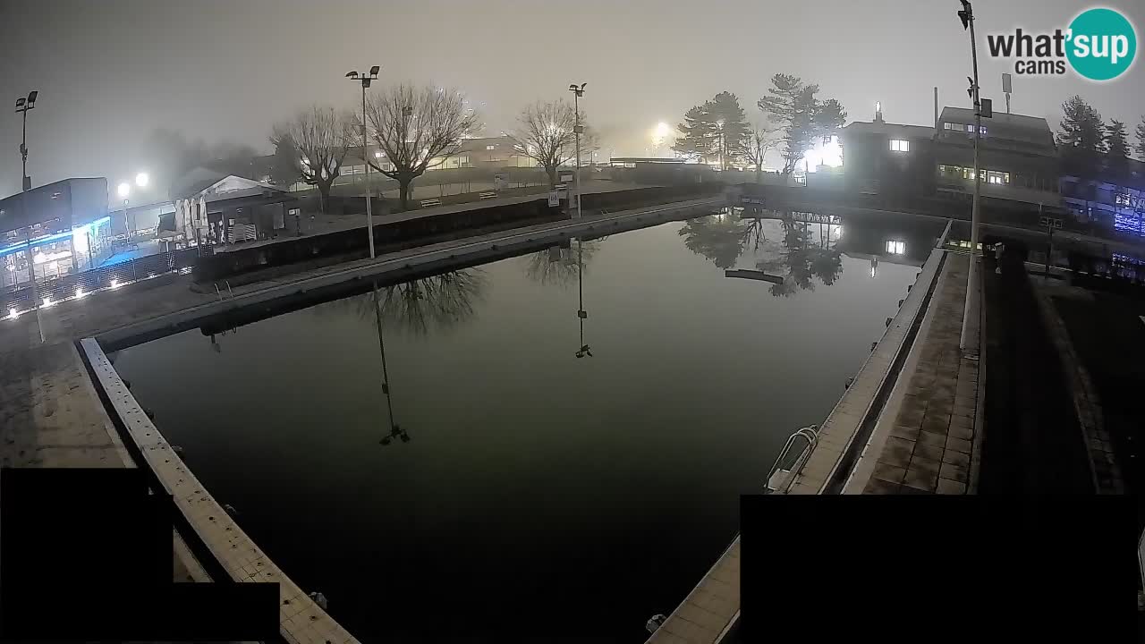 Webcam Celje – Main swimming pool