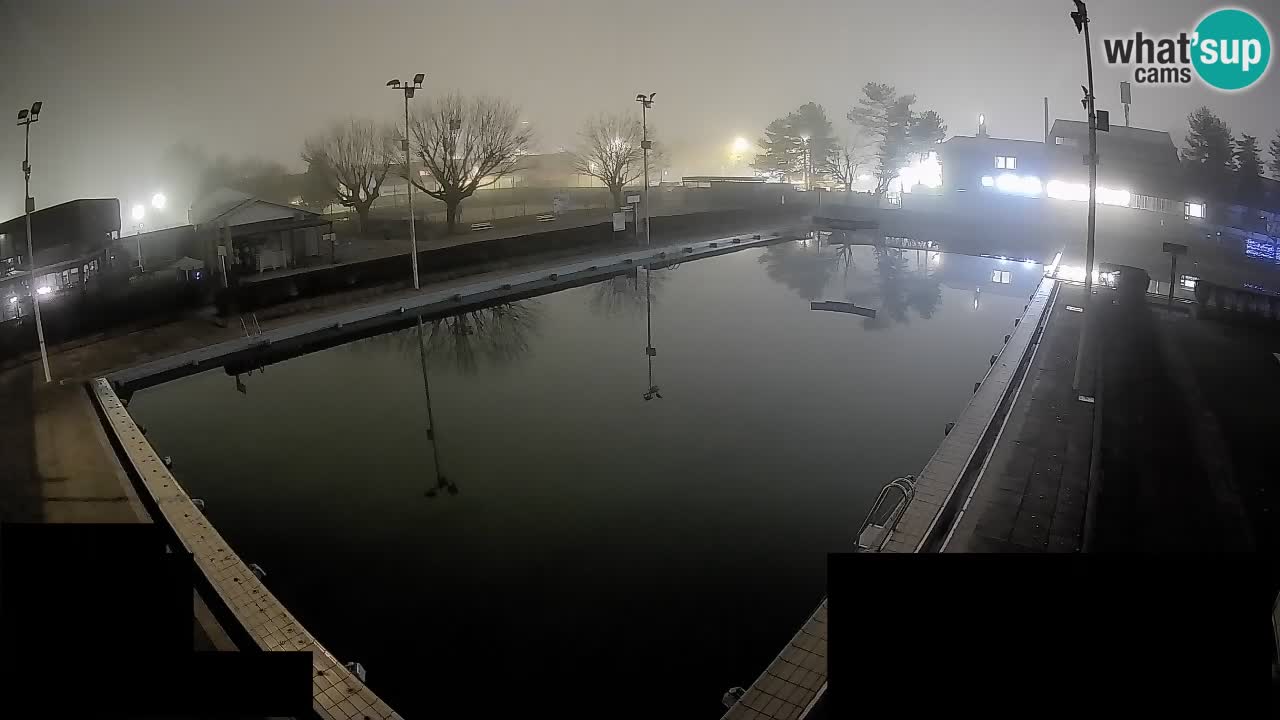 Webcam Celje – Main swimming pool