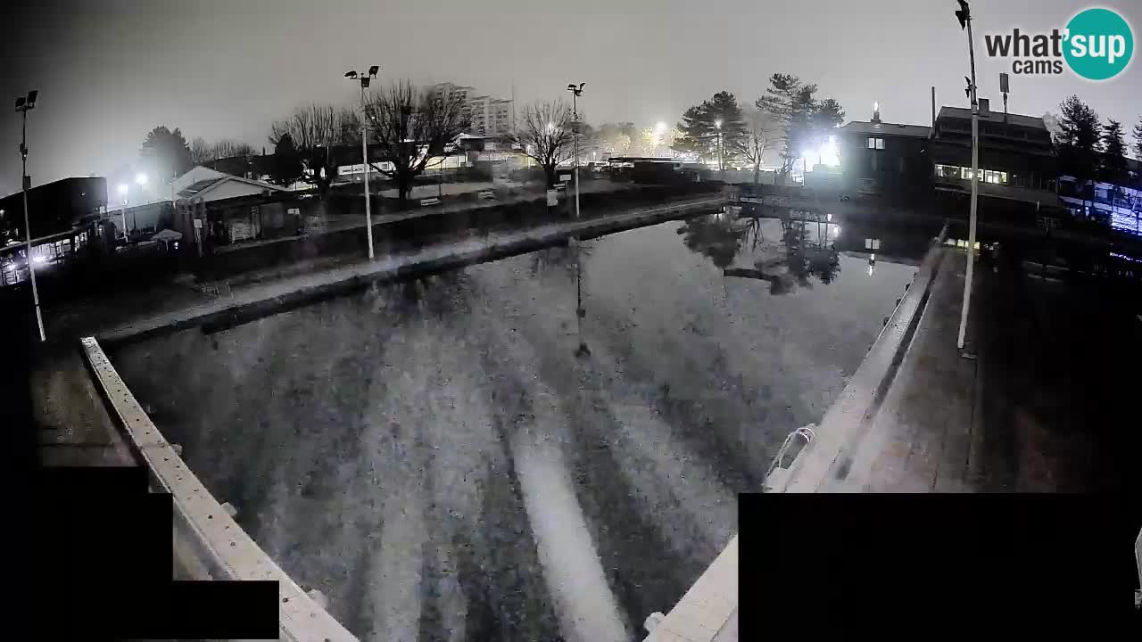 Cámara web Celje – Piscina principal