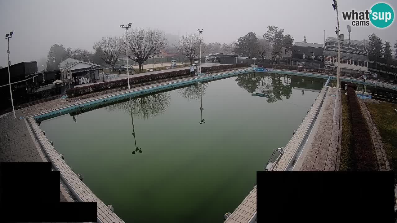 Webcam Celje – Main swimming pool