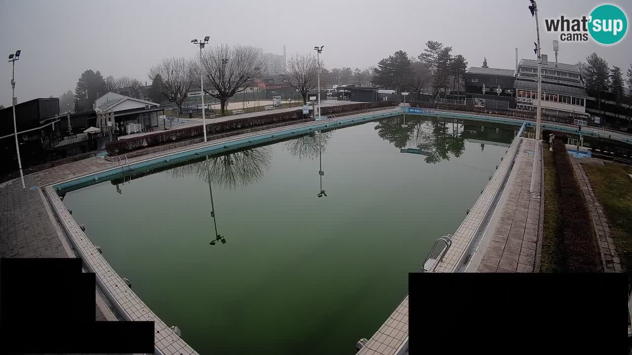 Webcam Celje – Main swimming pool