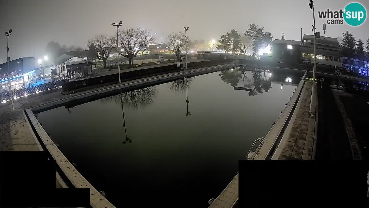 Webcam Celje – Main swimming pool