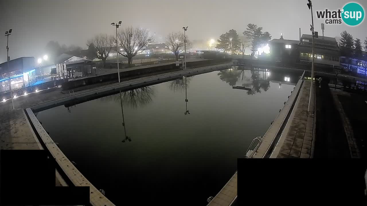 Webcam Celje – Main swimming pool