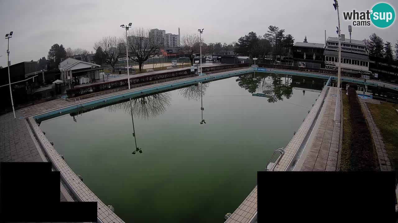 Webcam Celje – Main swimming pool
