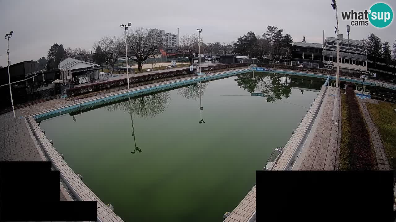 Webcam Celje – Main swimming pool