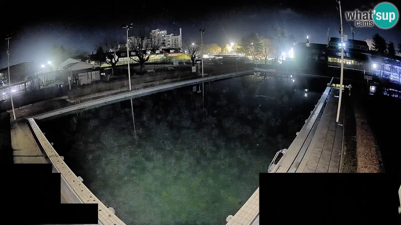Webcam Celje – Main swimming pool