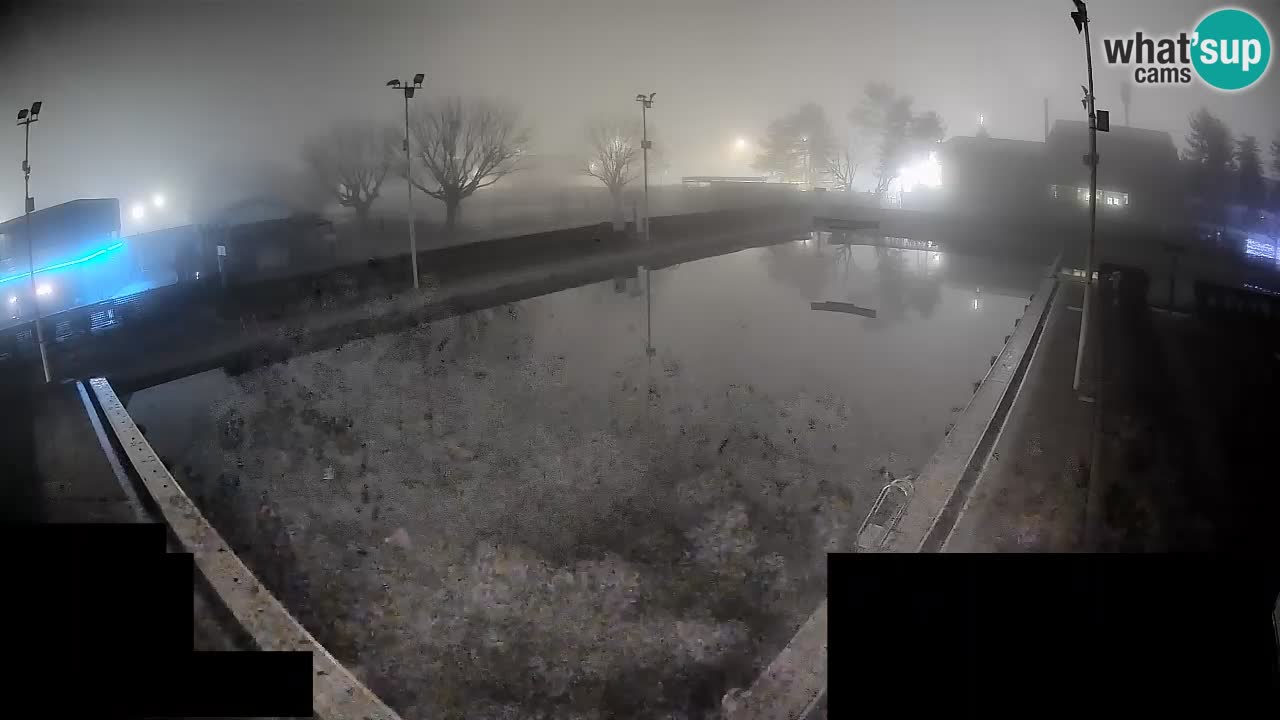 Web kamera Celje – Godišnji bazen za kupanje – glavni bazen