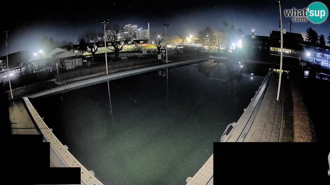 Webcam Celje – Main swimming pool
