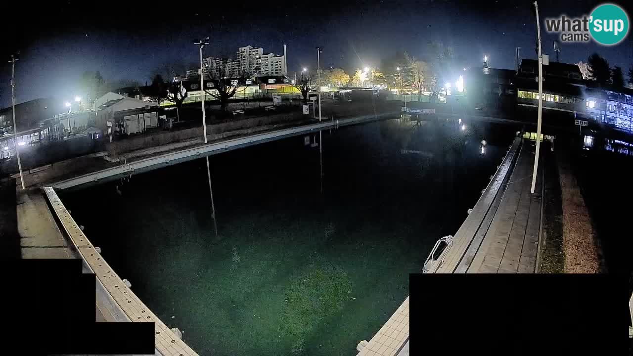 Webcam Celje – Main swimming pool