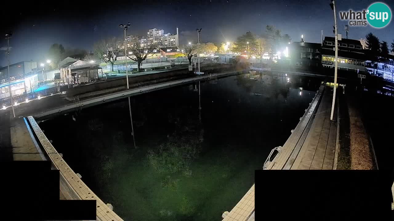 Webcam Celje – Main swimming pool