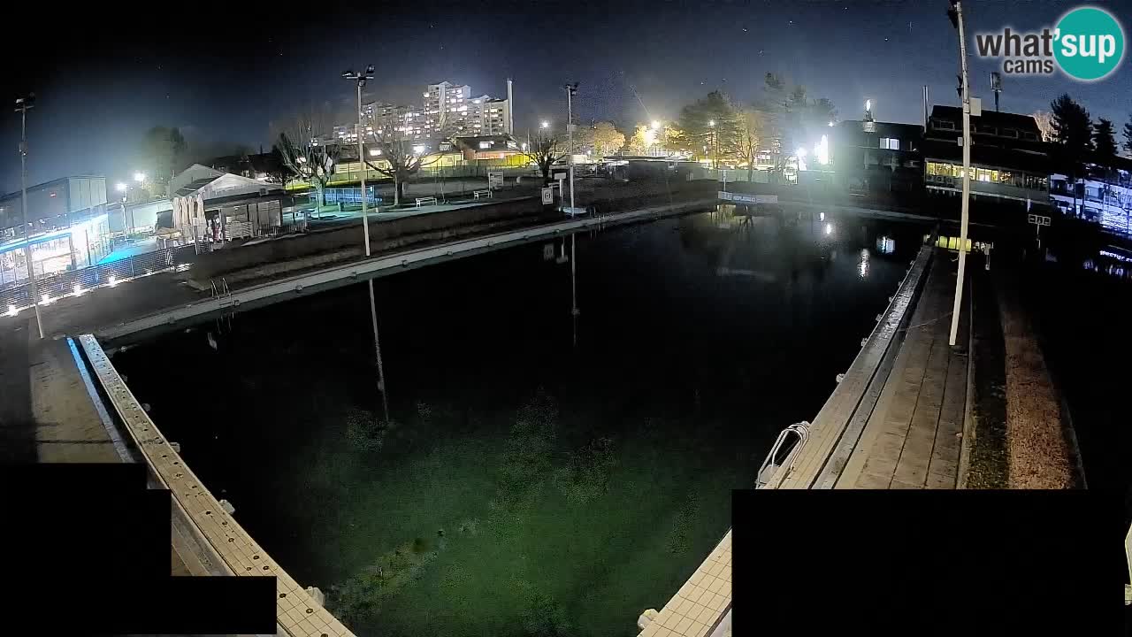 Webcam Celje – Main swimming pool